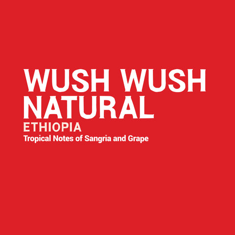 Ethiopia - Wush Wush Natural