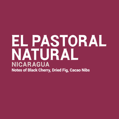 Nicaragua - El Pastoral