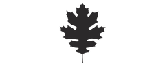 Black Oak Coffee Roasters logo