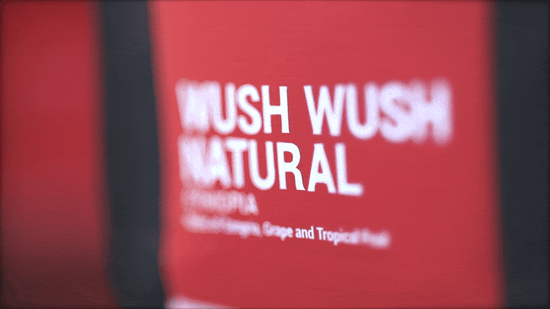 Recipe: Wush Wush Natural with a Hario V60