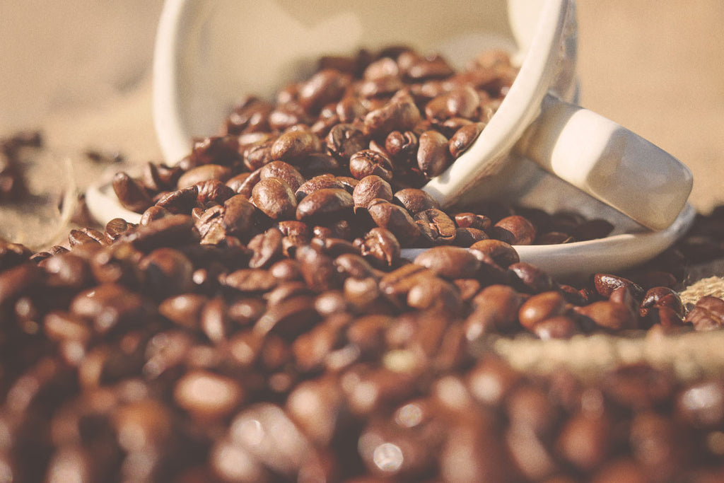 Black Oak Brew Tips: How Important Is Freshly Roasted Coffee?