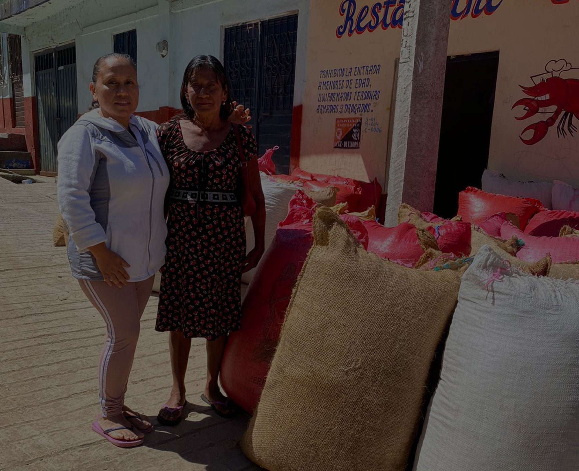 Our Female Farmer Coffee Project, responding to the challenges of the pandemic