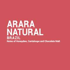 Brazil - Arara Natural