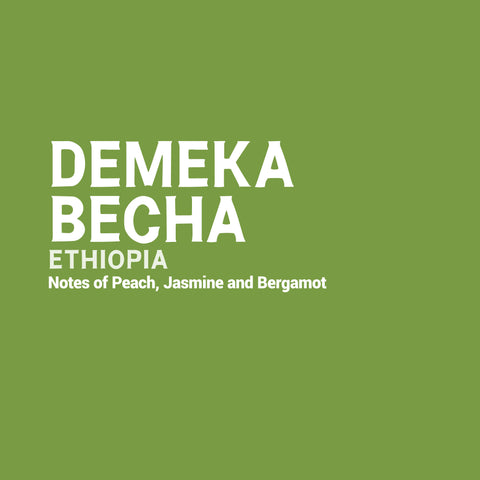 Ethiopia - Demeka Becha