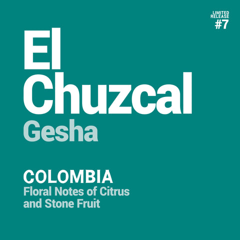 Colombia - El Chuzcal Washed Gesha