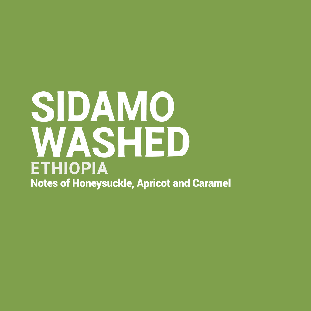 Ethiopia - Sidamo Washed