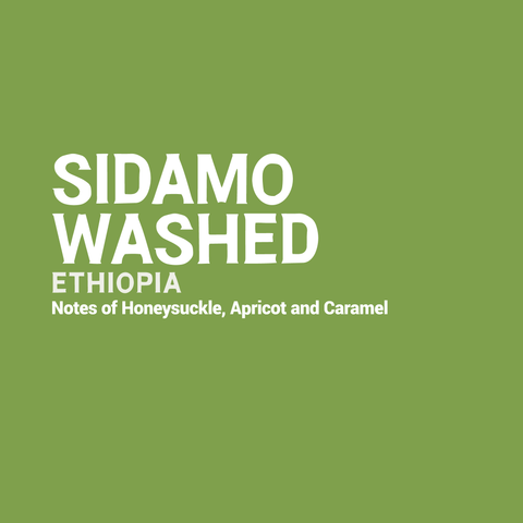 Ethiopia - Sidamo Washed